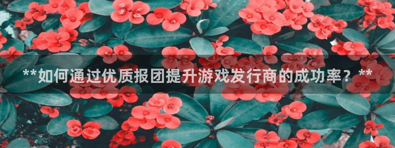 门徒平台注册中心在哪里：**如何通过优质报团提升游戏发行商的成功率？**