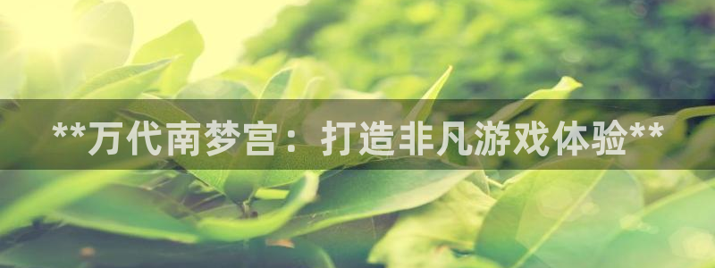 门徒娱乐创始人简介