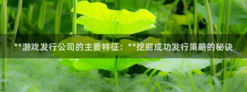 门徒娱乐QQ