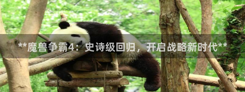 门徒娱乐能查到登陆记录吗