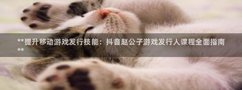门徒平台集团官网