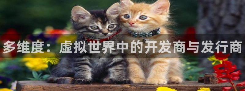 门徒娱乐有没有工资