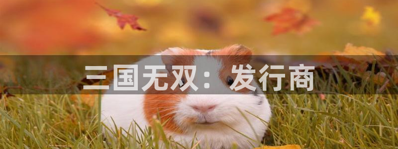 门徒在哪个平台播出：三国无双：发行商