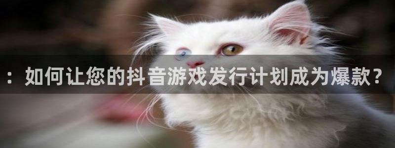 门徒平台下载：：如何让您的抖音游戏发行计划成为爆款？