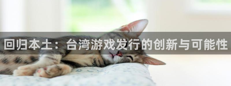 门徒平台理 411o31 门徒