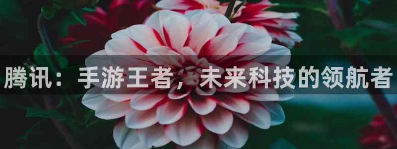 门徒平台集团官网下载