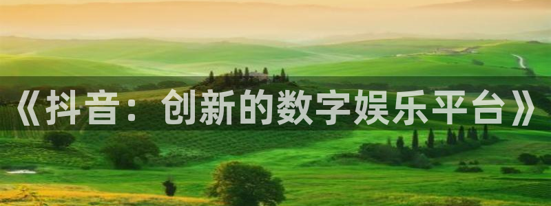 门徒平台上级：《抖音：创新的数字娱乐平台》